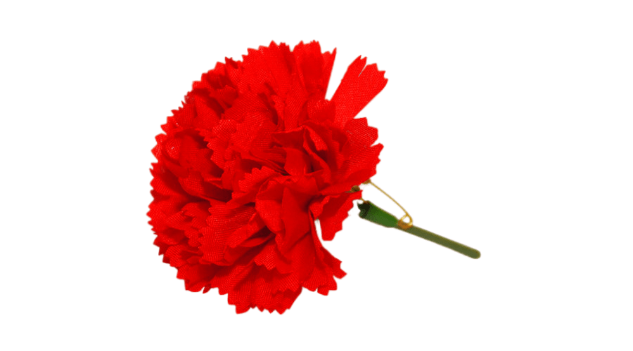 Kisspng carnation the left socialism international workers kreis meien von links gewerkschaften und 1 mai 5be9ef109b6863 2697925215420577446366 transformed